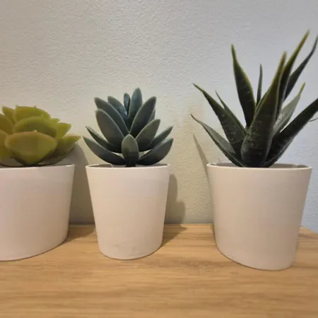 L'acces 10' Centre Historique شقة *