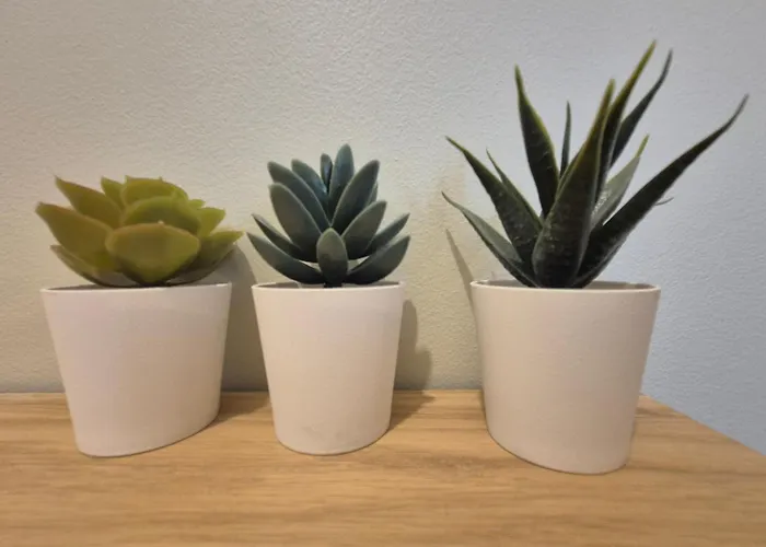 L'acces 10' Centre Historique Apartment *